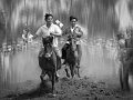 225 - horse-race in thi thung - HUNG Hoa Lu - vietnam